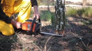 Mulching Services in Murrieta, CA