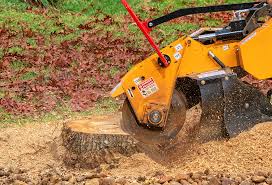 Best Leaf Removal  in Murrieta, CA