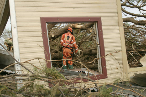 Best Hazardous Tree Removal  in Murrieta, CA